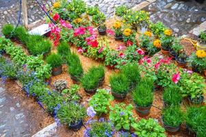 festival da flor em girona temps de flors, espanha. 2018 foto