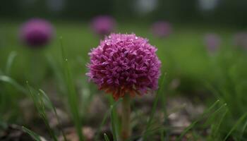 uma roxa flor cabeça flores dentro a fechar acima do natureza gerado de ai foto