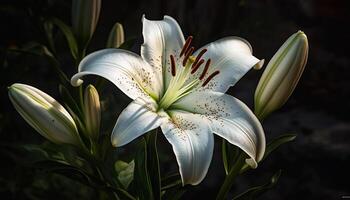 uma lindo flor Flor dentro uma formal jardim, exibindo elegância gerado de ai foto