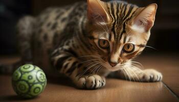 fofa doméstico gato com listrado pelagem, encarando com brincalhão curiosidade gerado de ai foto