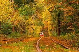 outono floresta através que a velho eléctrico passeios Ucrânia foto