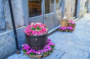 festival da flor em girona temps de flors, espanha. 2018 foto