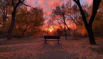 tranquilo crepúsculo amarelo folhas, retroiluminado banco, natureza beleza gerado de ai foto