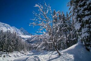 paisagem de inverno nos Alpes franceses foto