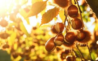 fechar-se do fresco castanhas em vibrante outono floresta. ai generativo foto