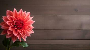 lindo dália flor em madeira fundo com cópia de espaço, ai generativo foto