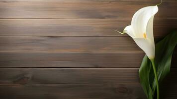 calla lírio flor em madeira fundo com cópia de espaço, ai generativo foto