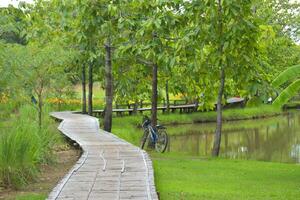 lago e verde árvores beleza natureza dentro jardim Tailândia foto