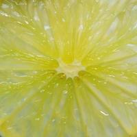 close-up de uma fatia de limão e limão e frutas cítricas frescas. foto