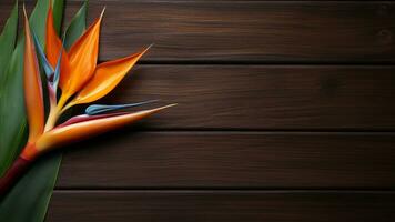 pássaro do paraíso flor em madeira fundo com cópia de espaço, ai generativo foto
