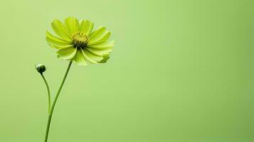 lindo verde flor fundo minimalista ai gerado foto