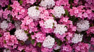 fronteira quadro, Armação árvore floral topo Visão ai gerado foto