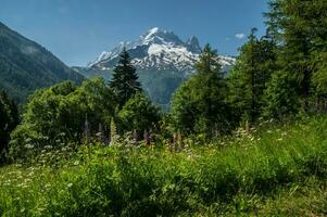 francês Alpes panorama foto