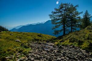 suíço Alpes panorama foto