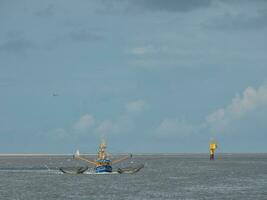 a ilha de spiekeroog foto