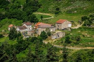 malirala, camarão dentro Lozère, França foto