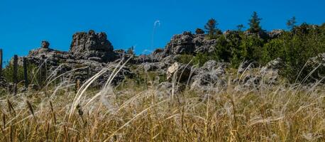 cevennes national park foto