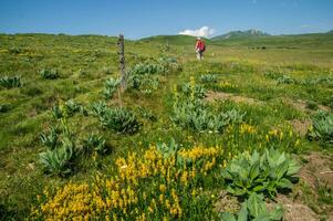 parque naturel regional des vulcões d'auvergne foto