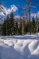 paisagem de inverno nos Alpes franceses foto