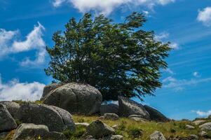 cevennes national park foto