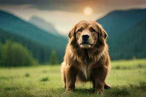 uma dourado retriever é em pé dentro a grama. gerado por IA foto