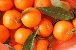 comida de fruta tangerina foto