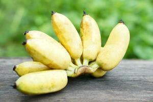 grupo do maduro amarelo orgânico cultivado bananas. conceito , agricultura colheita dentro tailândia. tailandês agricultores crescer bananas para vender Como família o negócio ou compartilhar para vizinho. Boa para saúde. foto