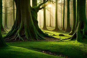 uma verde floresta com árvores e grama. gerado por IA foto