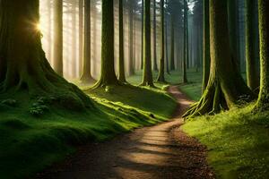 uma caminho através uma floresta com árvores e Sol. gerado por IA foto