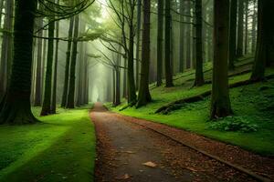 uma caminho através uma floresta com árvores e verde grama. gerado por IA foto