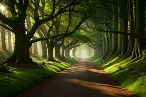 uma caminho através uma floresta com árvores e Sol. gerado por IA foto