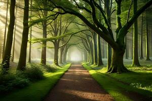 uma caminho através a árvores dentro uma floresta. gerado por IA foto