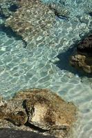 lagoa azul kedrodasos praia ilha de creta areia vermelha fundo de águas foto