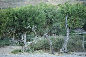 peristeres praia rodakino ilha de creta área de acampamento gratuita covid-19 foto