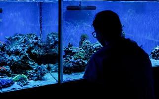 silhueta de mulher observando aquários com peixes no oceanário foto