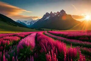 a Sol sobe sobre uma campo do Rosa flores dentro a montanhas. gerado por IA foto