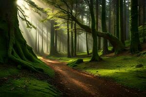 uma caminho através uma floresta com árvores e musgo. gerado por IA foto