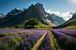 a lavanda Campos do a Alpes. gerado por IA foto