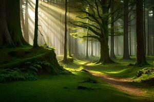 uma caminho através uma floresta com raios solares brilhando através a árvores gerado por IA foto