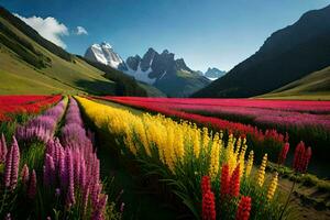 uma campo do colorida flores dentro frente do montanhas. gerado por IA foto