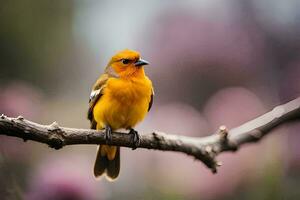 uma pequeno laranja pássaro é sentado em uma ramo. gerado por IA foto