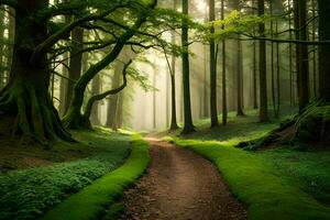 uma caminho através uma floresta com árvores e grama. gerado por IA foto