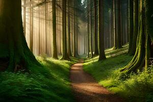 uma caminho através uma floresta com árvores e luz solar. gerado por IA foto