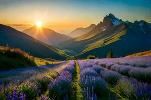 a Sol sobe sobre lavanda Campos dentro a montanhas. gerado por IA foto