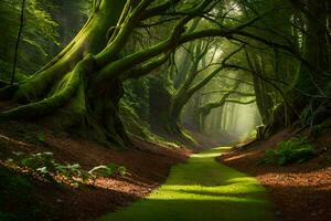 uma caminho através uma floresta com árvores e verde grama. gerado por IA foto