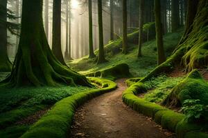 uma caminho através uma floresta com musgoso árvores gerado por IA foto