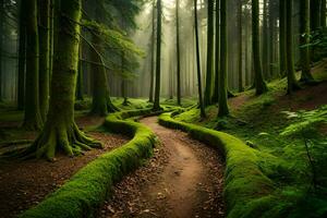 uma caminho através uma floresta com musgoso árvores gerado por IA foto