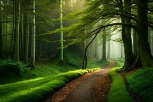 uma caminho através uma verde floresta com árvores e grama. gerado por IA foto