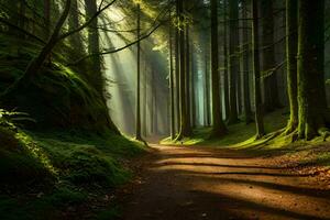 uma caminho através uma floresta com luz solar brilhando abaixo. gerado por IA foto