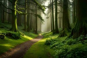 uma caminho através uma verde floresta com árvores e grama. gerado por IA foto